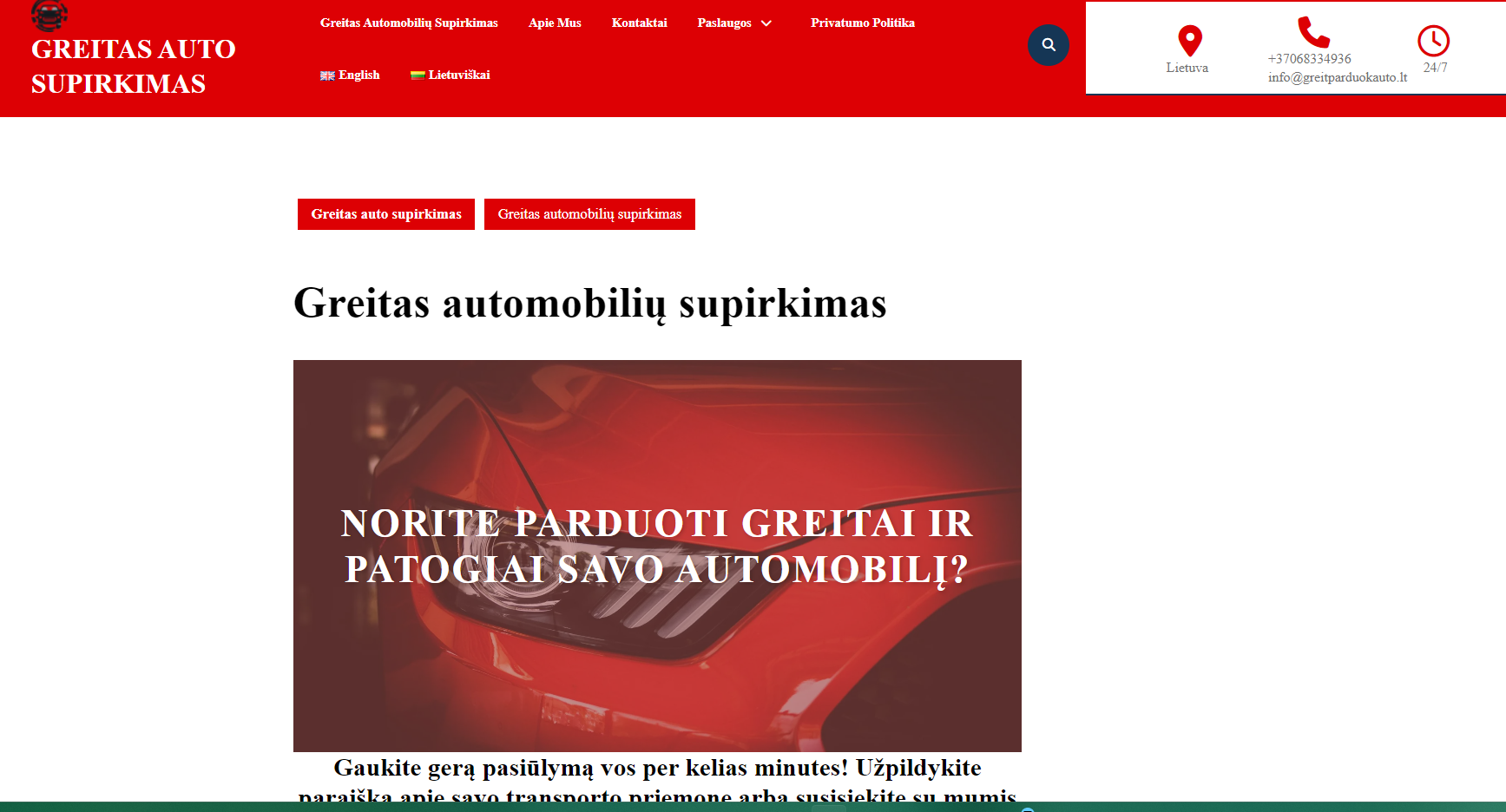 Svetainių kūrėja ir duomenų analitikė