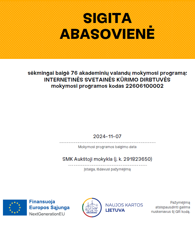 Svetainės kūrimo paslaugos skaitmeninėje erdvėje